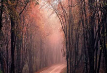 雷火电竞赛事-中国乒乓球队险胜韩国队,王皓关键制胜引爆全场热潮