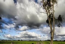 雷火电竞网页版入口-瑞士绝地反击拜仁,萨内统治全场:一场足球盛宴的传奇瞬间