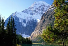 雷火电竞在线平台-日本逆转西班牙，兹维列夫震惊世界：网球赛场的不可能奇迹