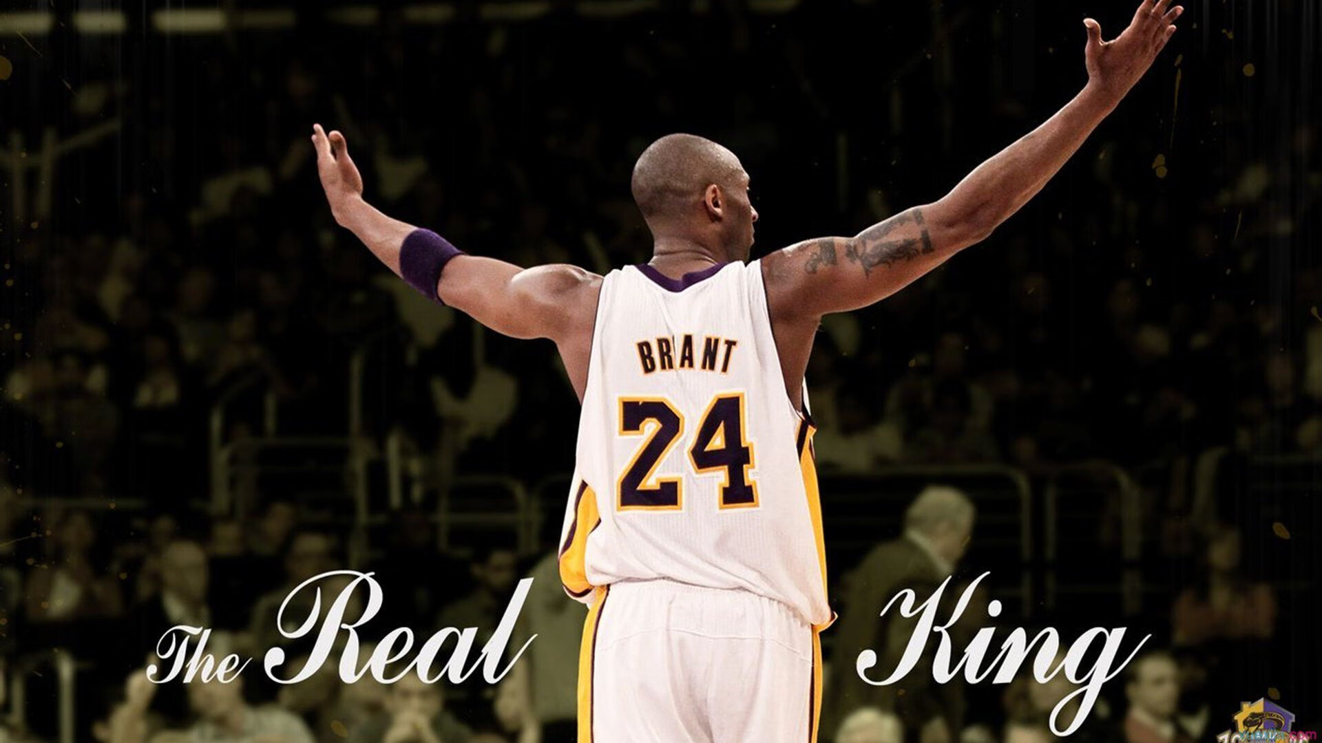 掘金强行终结鹈鹕，一场定义季后赛韧性的焦点战